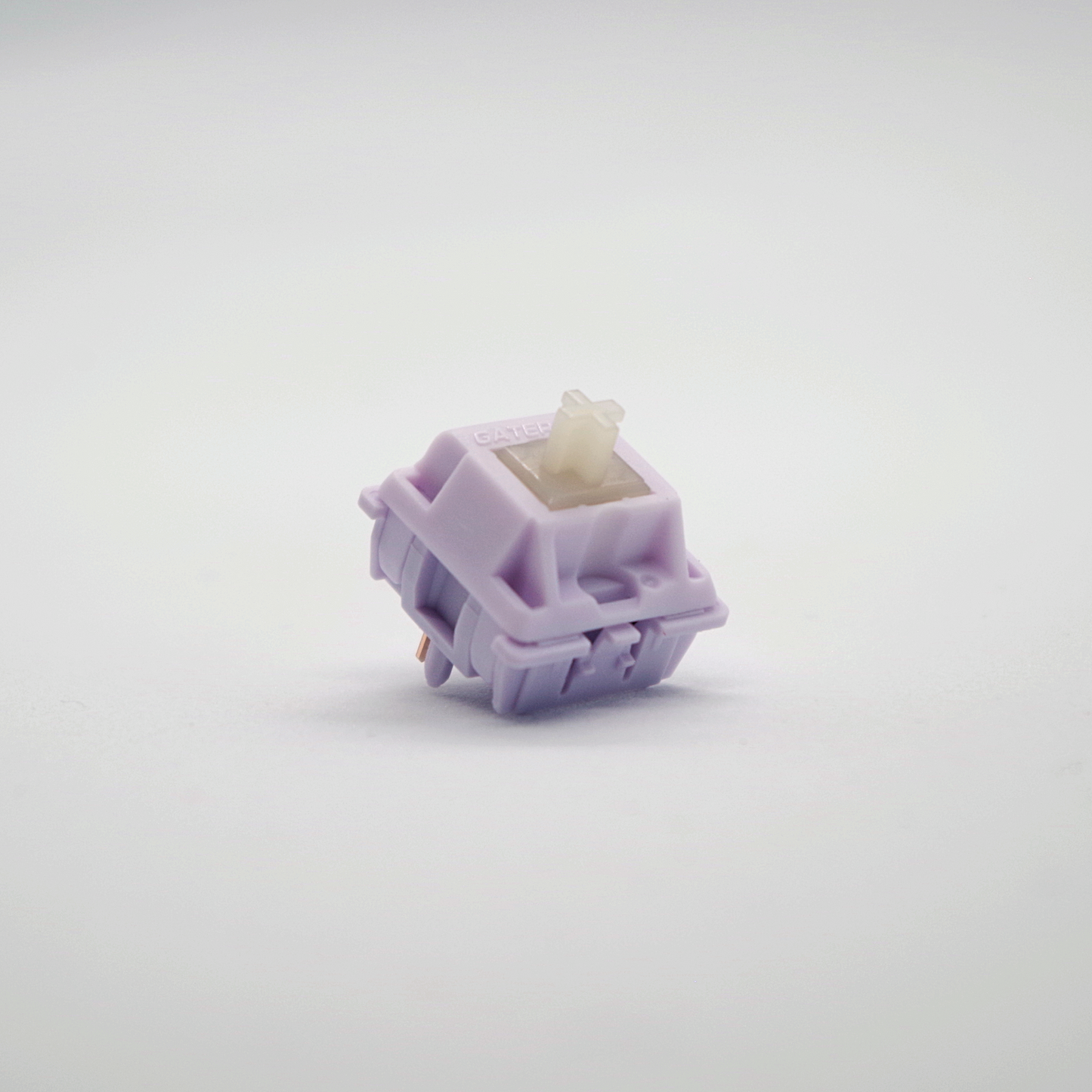 Hippo